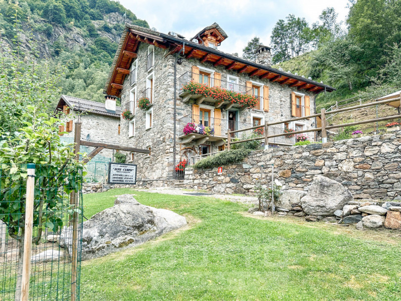 immagine annuncio 1 di 10