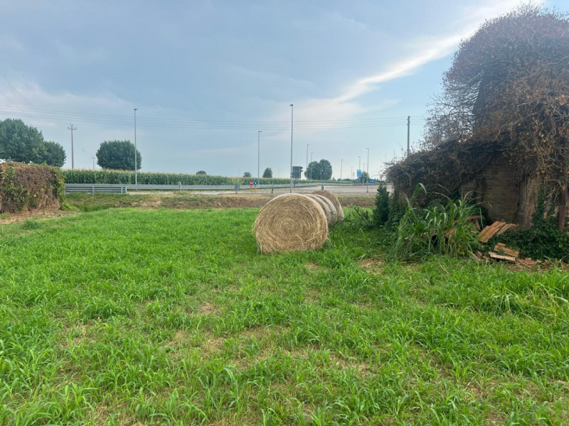 immagine annuncio 2 di 7