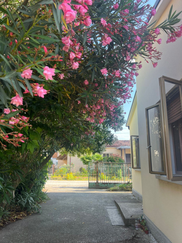 immagine annuncio 2 di 8