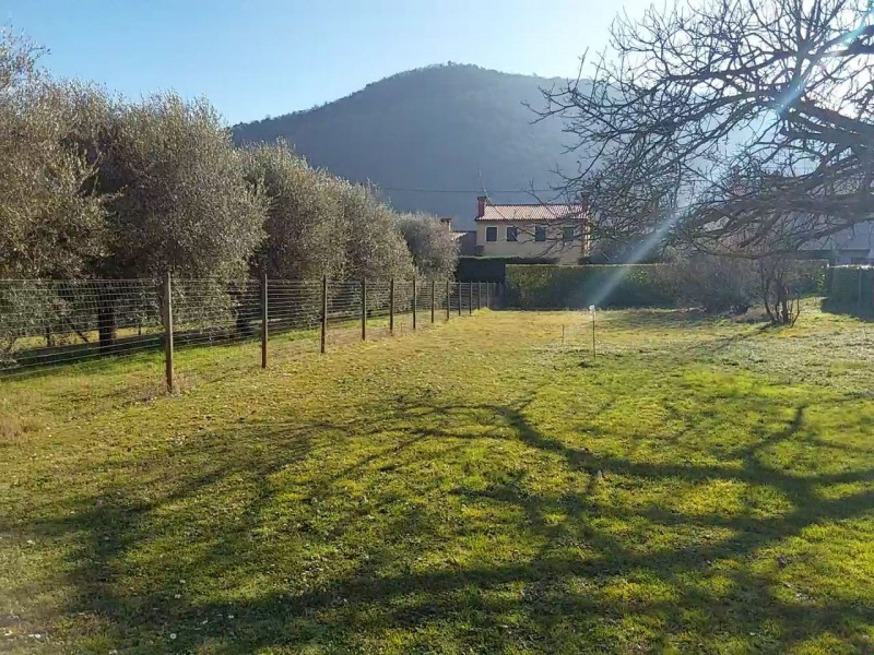 immagine annuncio 1 di 3