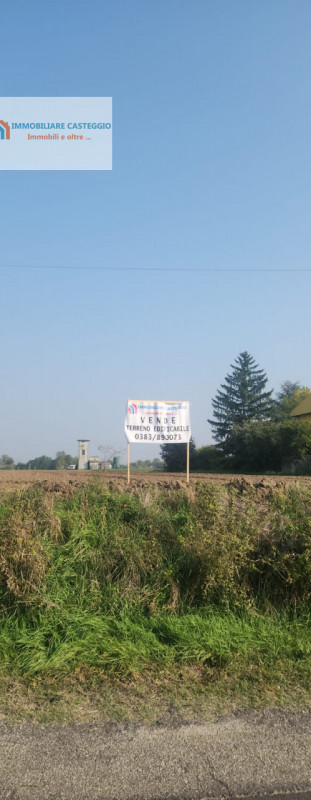 immagine annuncio 4 di 8