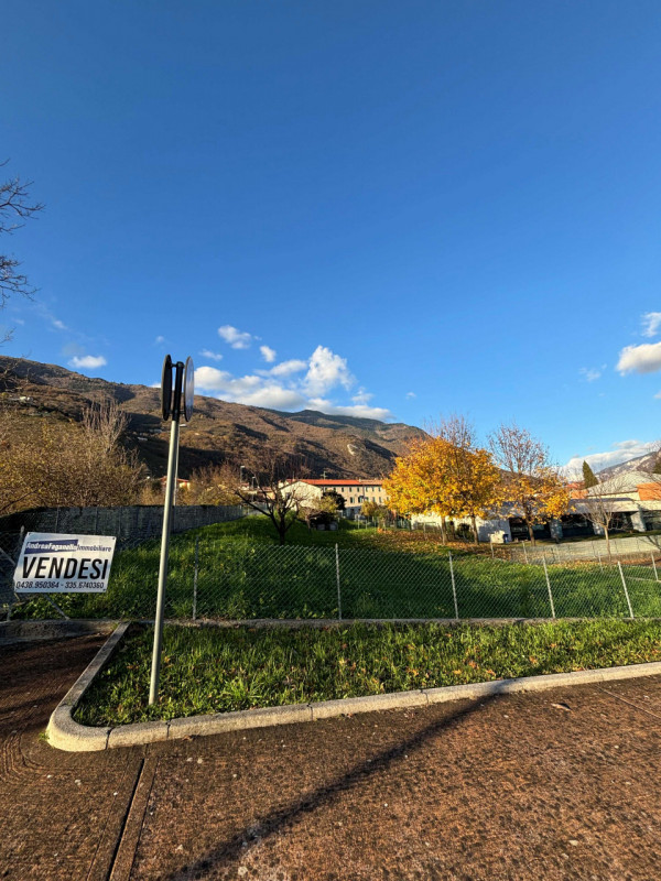 immagine annuncio 2 di 6