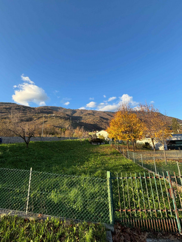 immagine annuncio 1 di 6