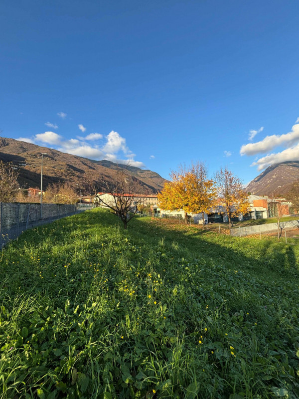 immagine annuncio 3 di 6