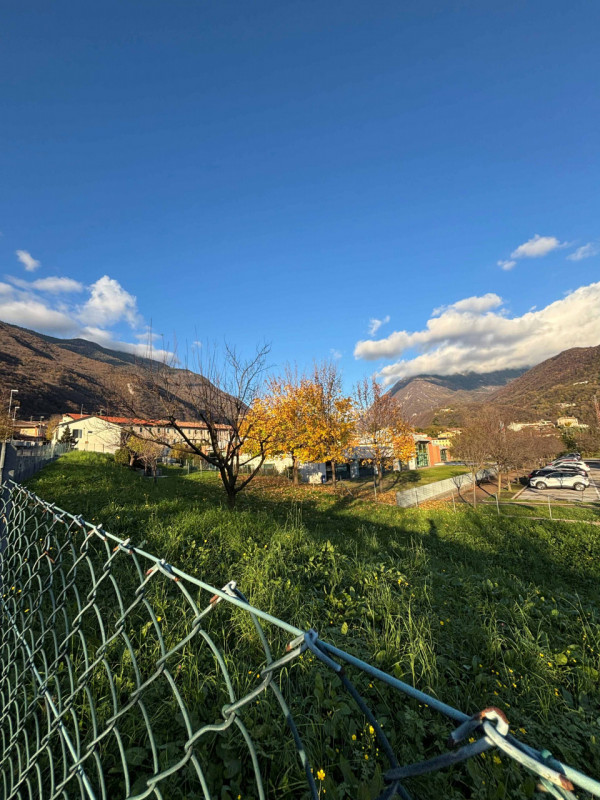 immagine annuncio 5 di 6