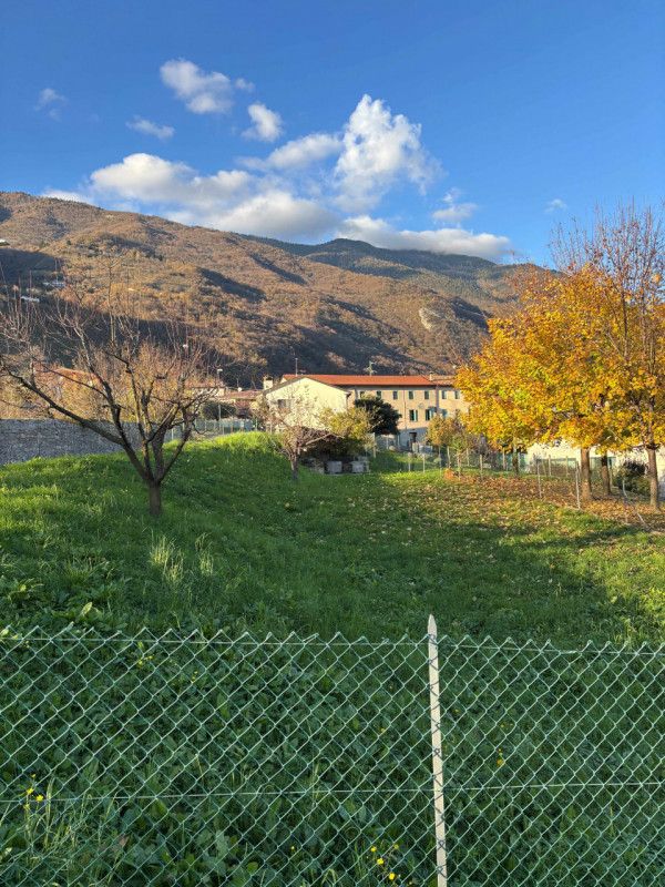 immagine annuncio 4 di 6