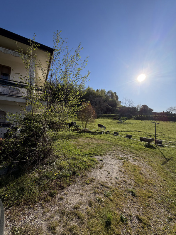 immagine annuncio 7 di 9