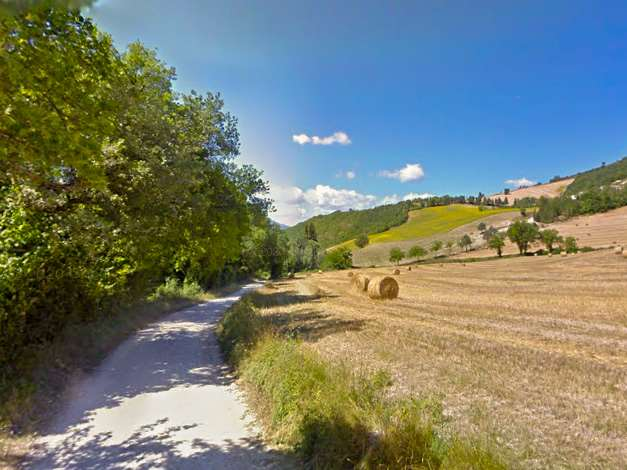 immagine annuncio 4 di 8