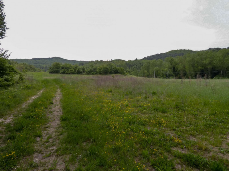 immagine annuncio 6 di 8