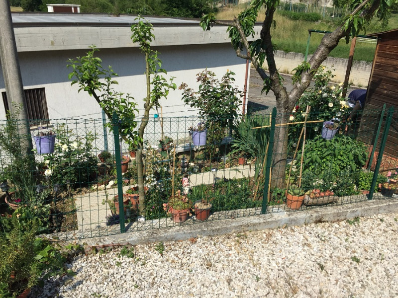 immagine annuncio 7 di 8