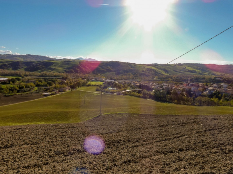 immagine annuncio 6 di 7