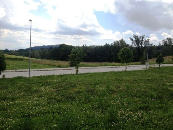 immagine annuncio 4 di 9