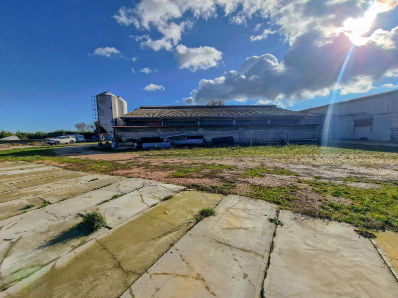 immagine annuncio 5 di 10