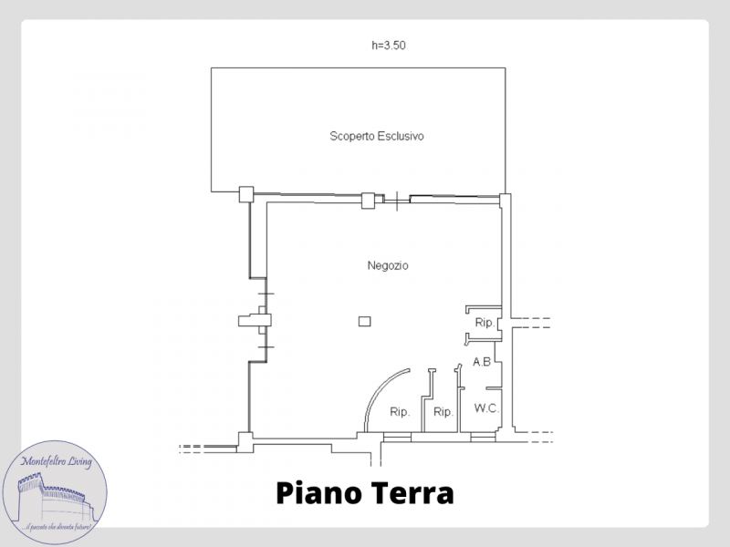 immagine annuncio 3 di 8