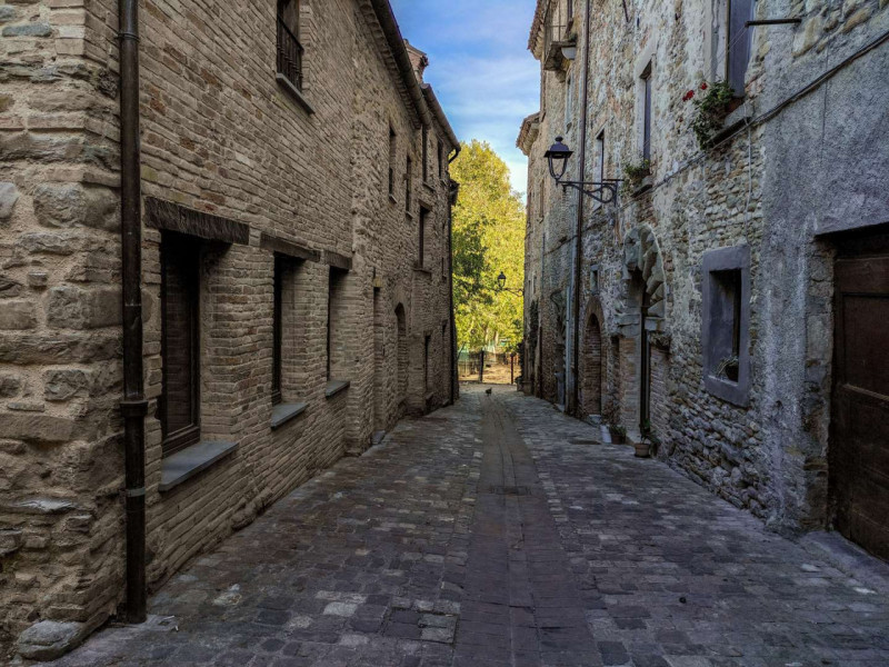 immagine annuncio 3 di 10