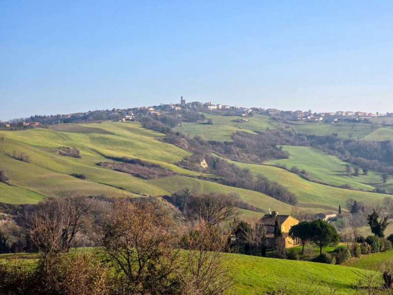 immagine annuncio 3 di 8