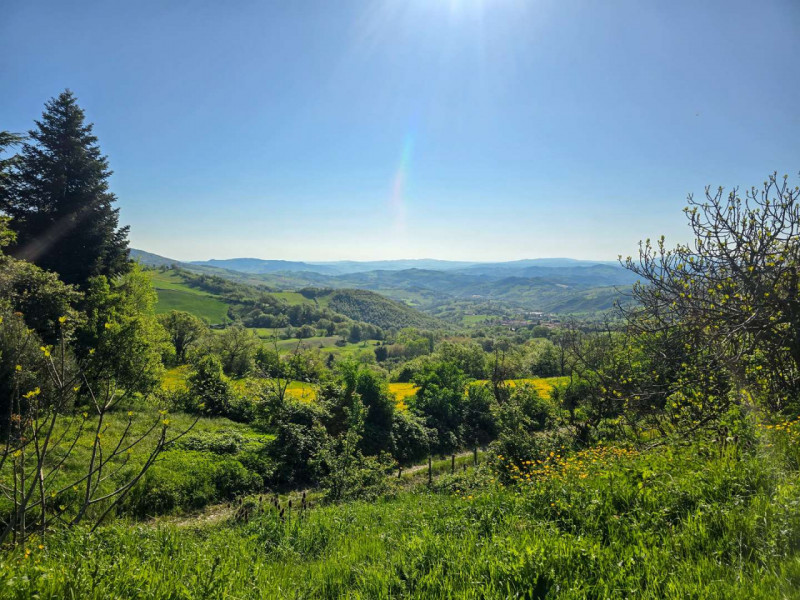 immagine annuncio 5 di 7