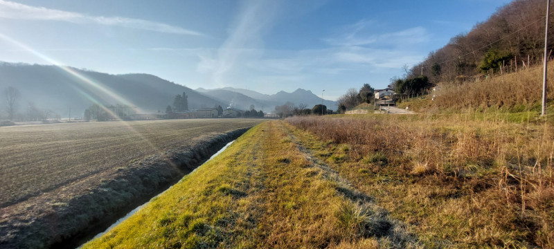 immagine annuncio 5 di 8