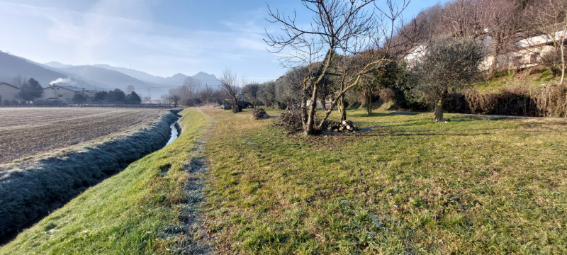 immagine annuncio 2 di 8