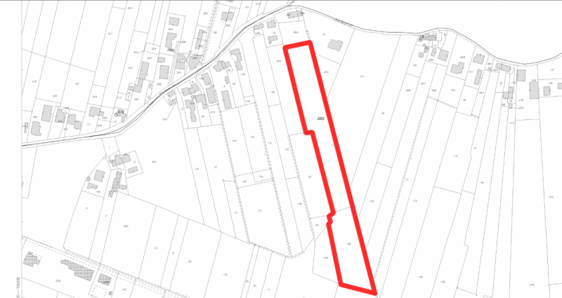 immagine annuncio 5 di 7