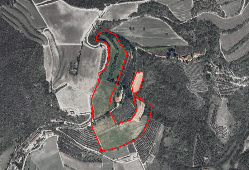 immagine annuncio 3 di 6