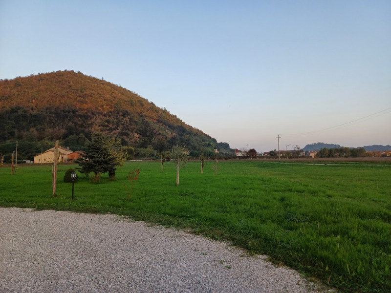 immagine annuncio 2 di 4