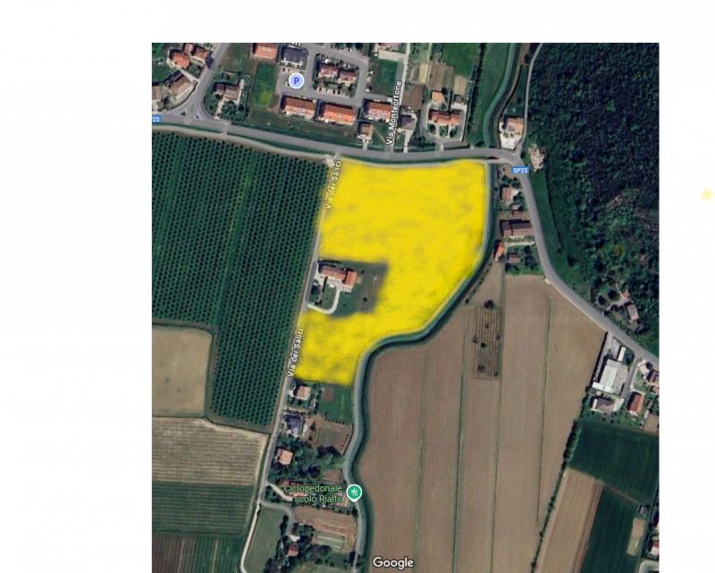 immagine annuncio 1 di 2