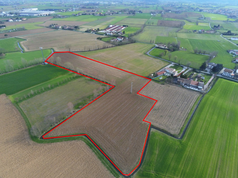 immagine annuncio 2 di 8