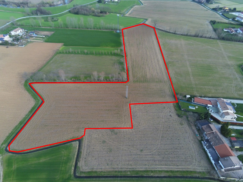 immagine annuncio 3 di 8