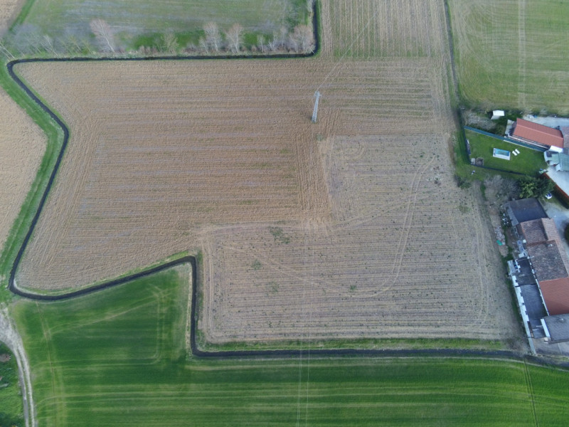 immagine annuncio 4 di 8