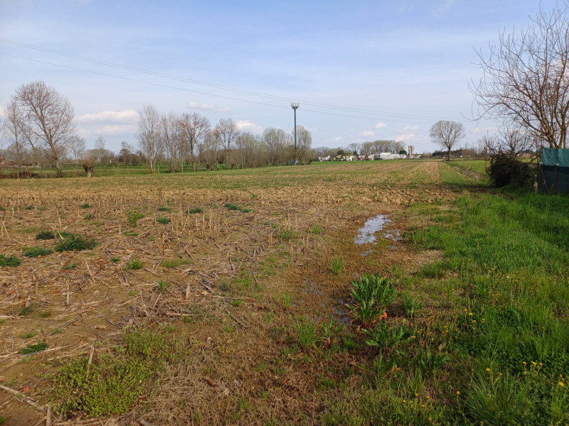 immagine annuncio 6 di 8