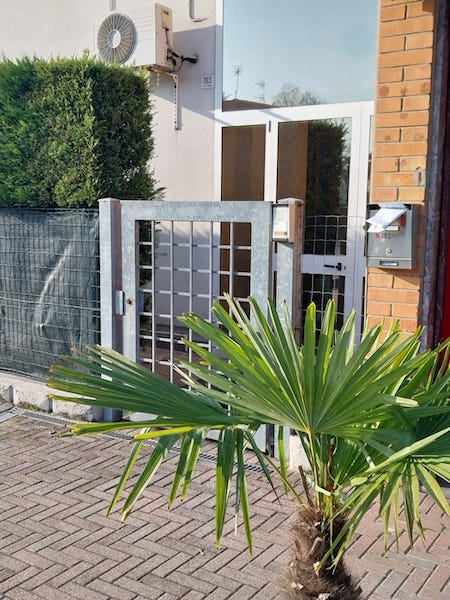 immagine annuncio 1 di 4