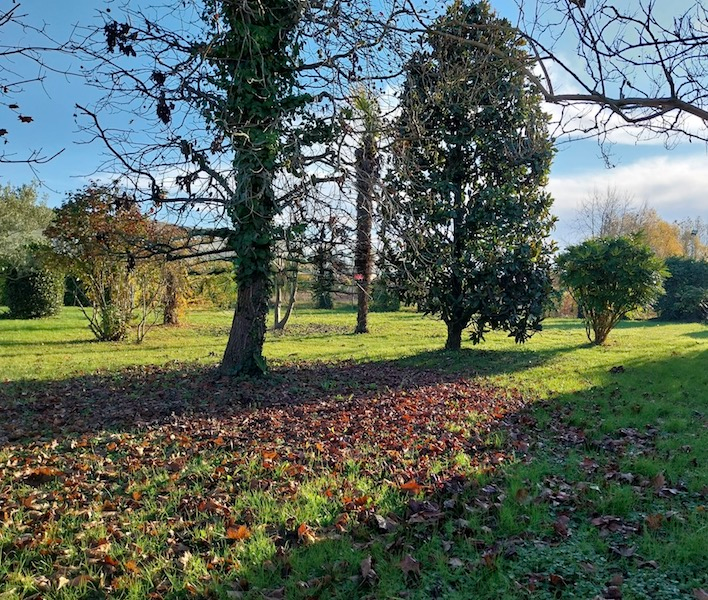 immagine annuncio 2 di 3