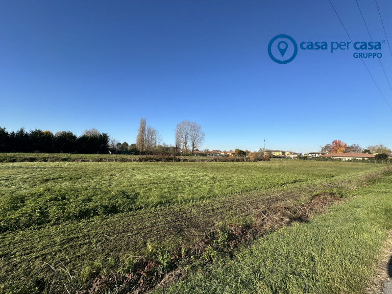 immagine annuncio 4 di 6