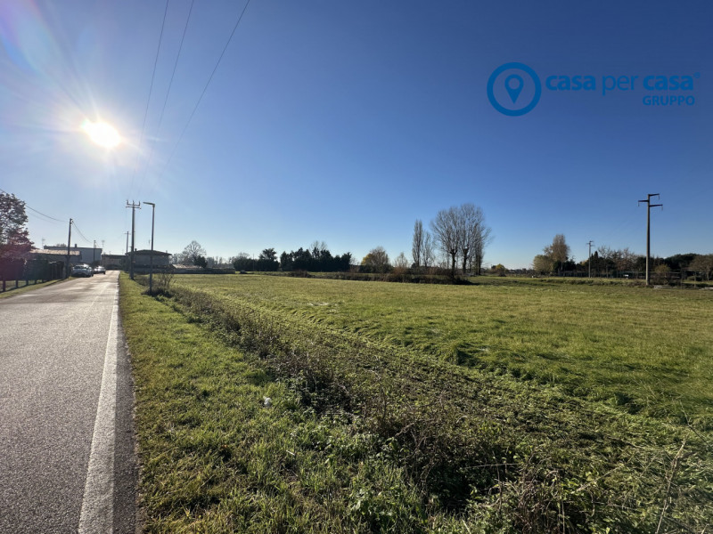 immagine annuncio 5 di 6