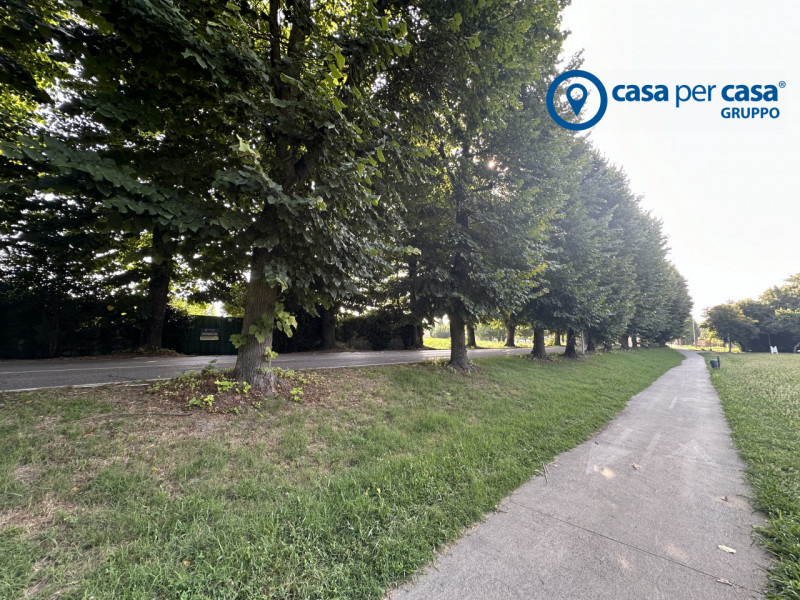 immagine annuncio 3 di 8