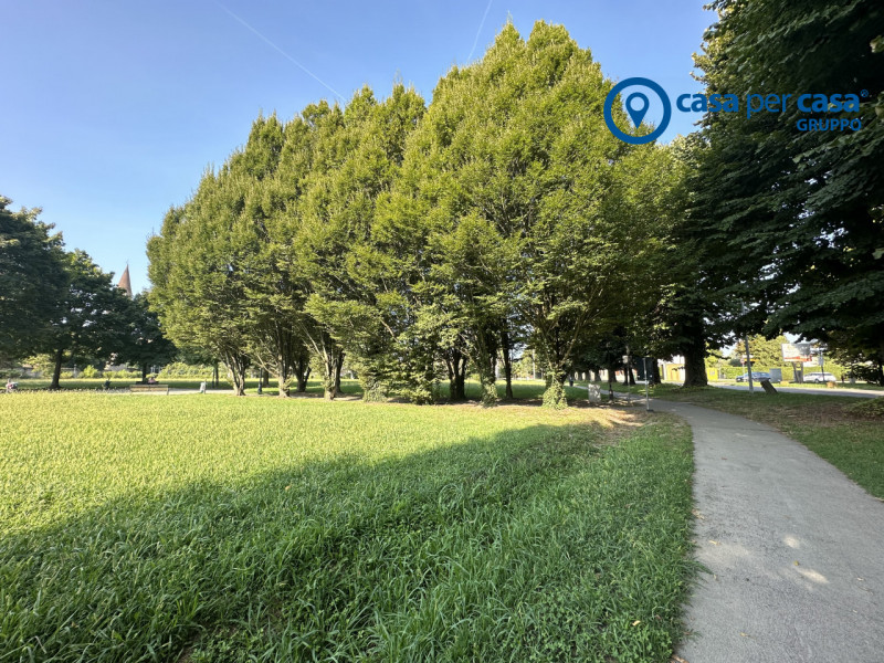 immagine annuncio 7 di 8