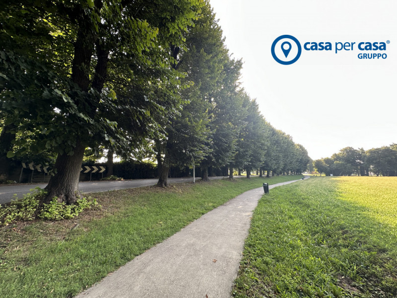 immagine annuncio 4 di 8