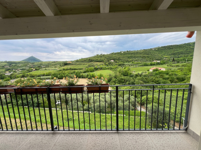 immagine annuncio 2 di 6