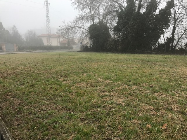 immagine annuncio 1 di 2