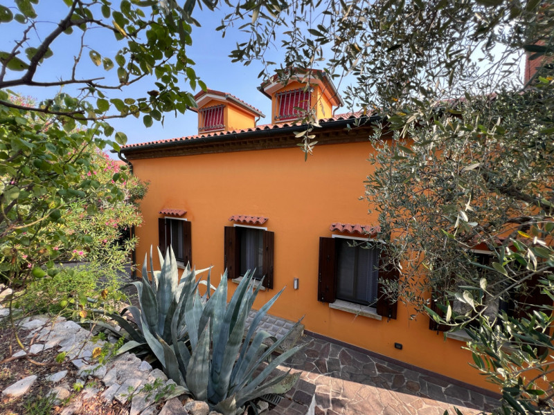 immagine annuncio 3 di 10