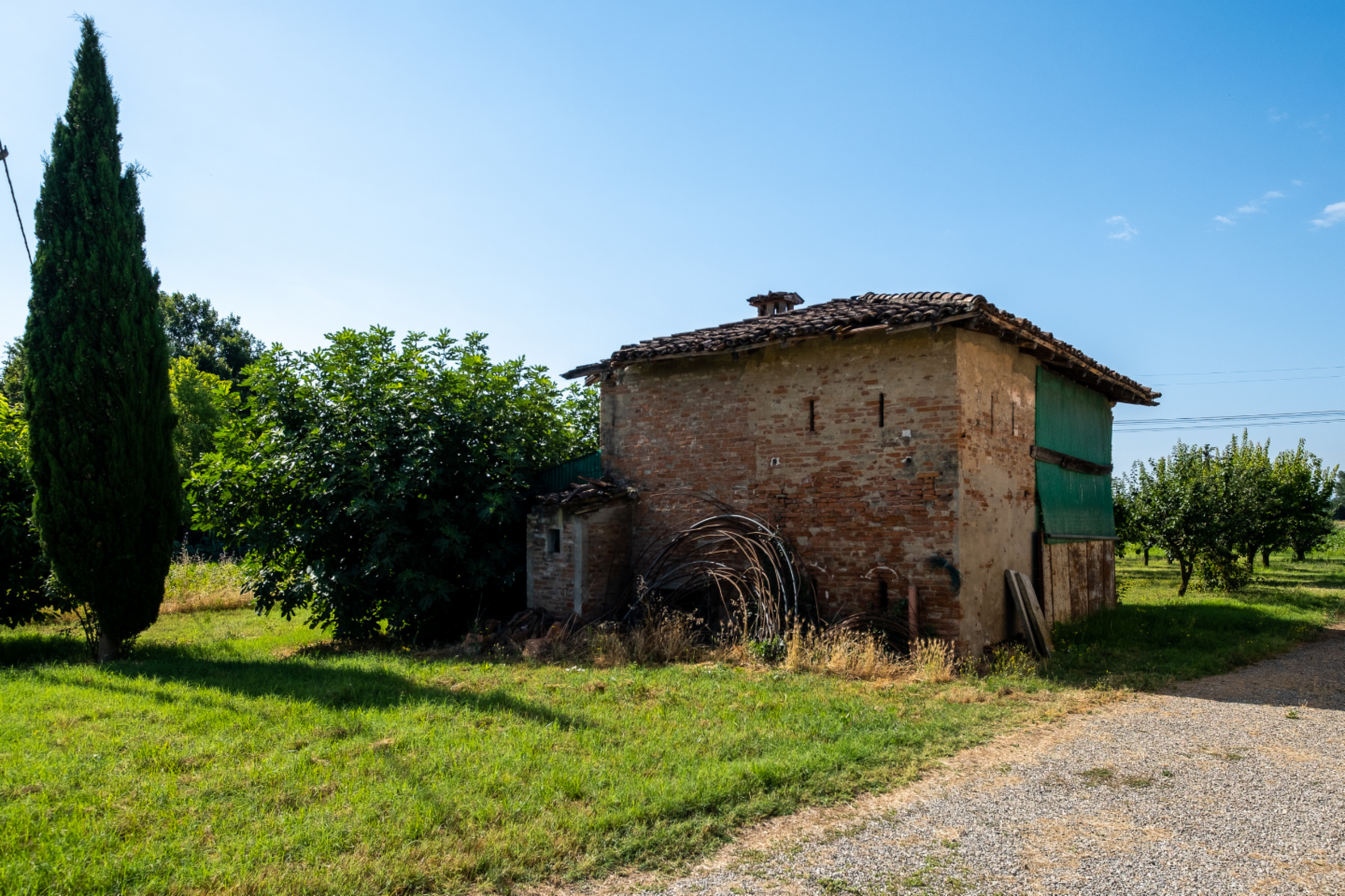 immagine annuncio 1 di 10