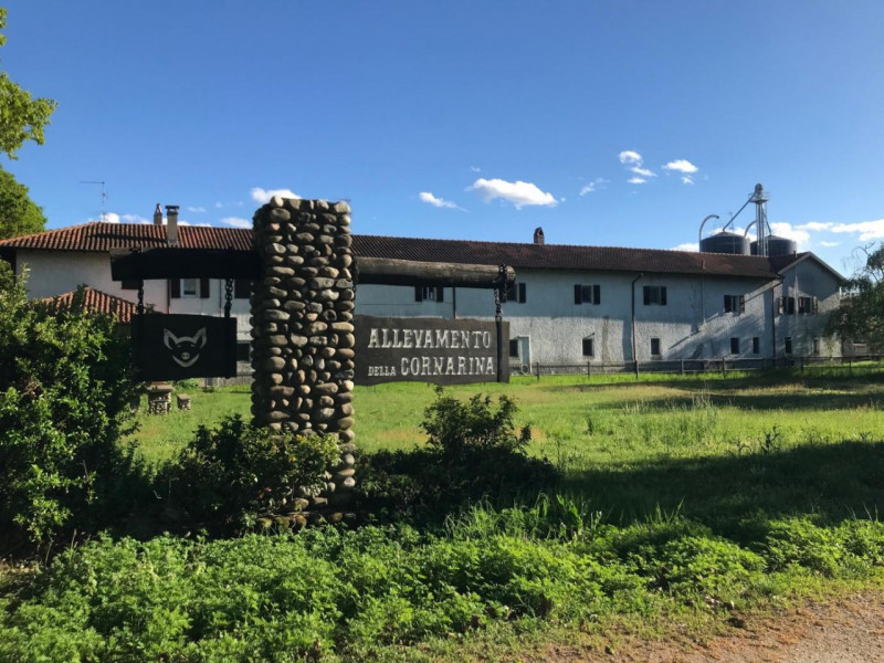 immagine annuncio 1 di 10