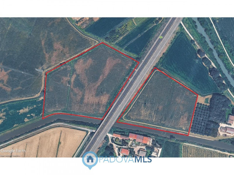 immagine annuncio 1 di 2