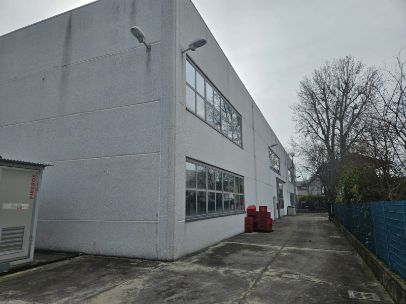 immagine annuncio 7 di 10