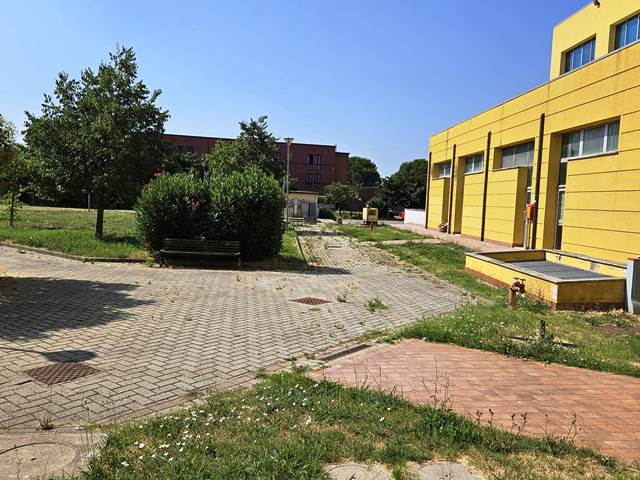immagine annuncio 6 di 10