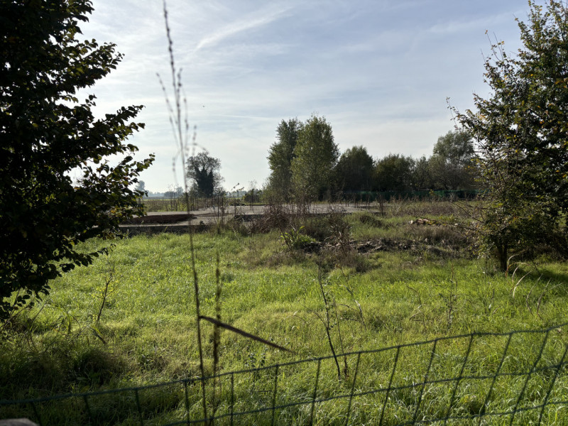 immagine annuncio 5 di 8