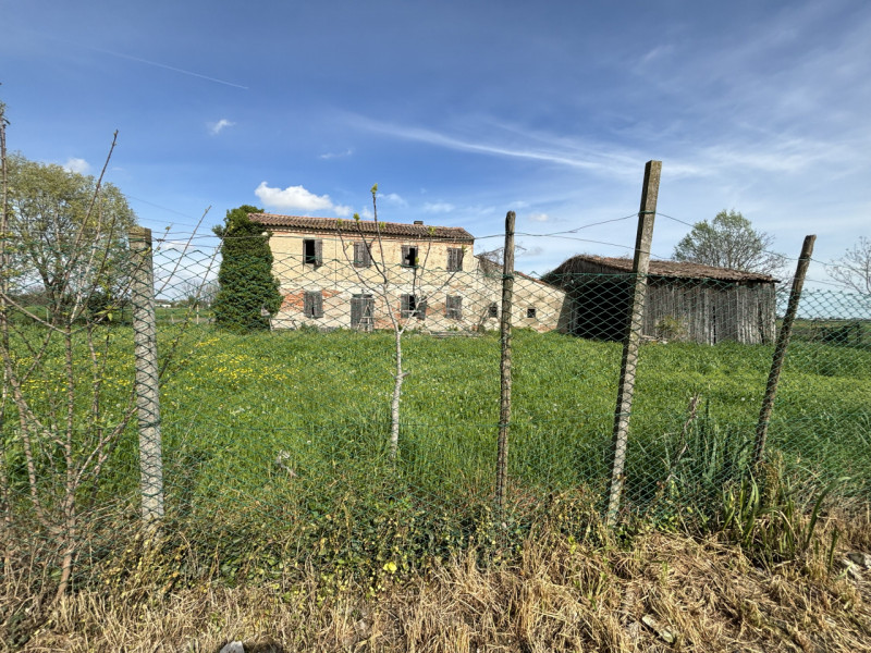 immagine annuncio 1 di 8