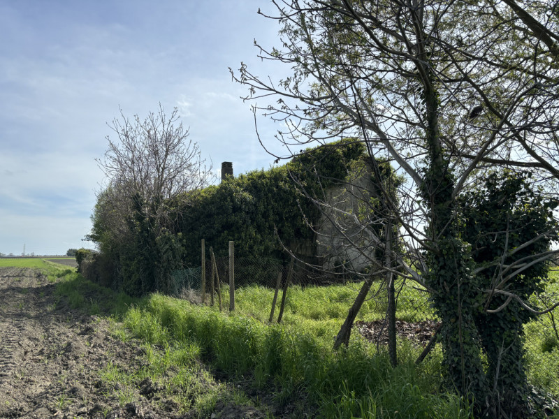 immagine annuncio 6 di 8