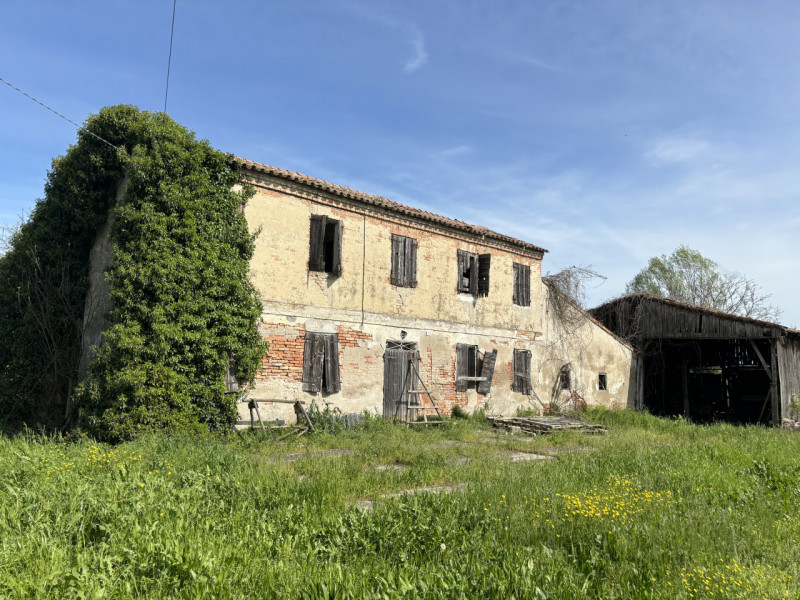 immagine annuncio 3 di 8